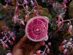 Polished Super Rare Large Argentinian Rhodochrosite Stalagmite Specimen x 1 From Capillitas Mine, Argentina