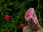 Polished Super Rare Large Argentinian Rhodochrosite Stalagmite Specimen x 1 From Capillitas Mine, Argentina