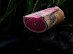 Polished Super Rare Large Argentinian Rhodochrosite Stalagmite Specimen x 1 From Capillitas Mine, Argentina