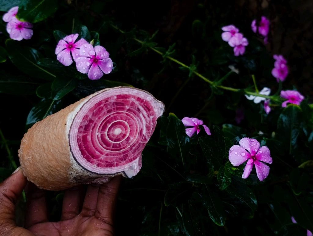 Polished Super Rare Large Argentinian Rhodochrosite Stalagmite Specimen x 1 From Capillitas Mine, Argentina