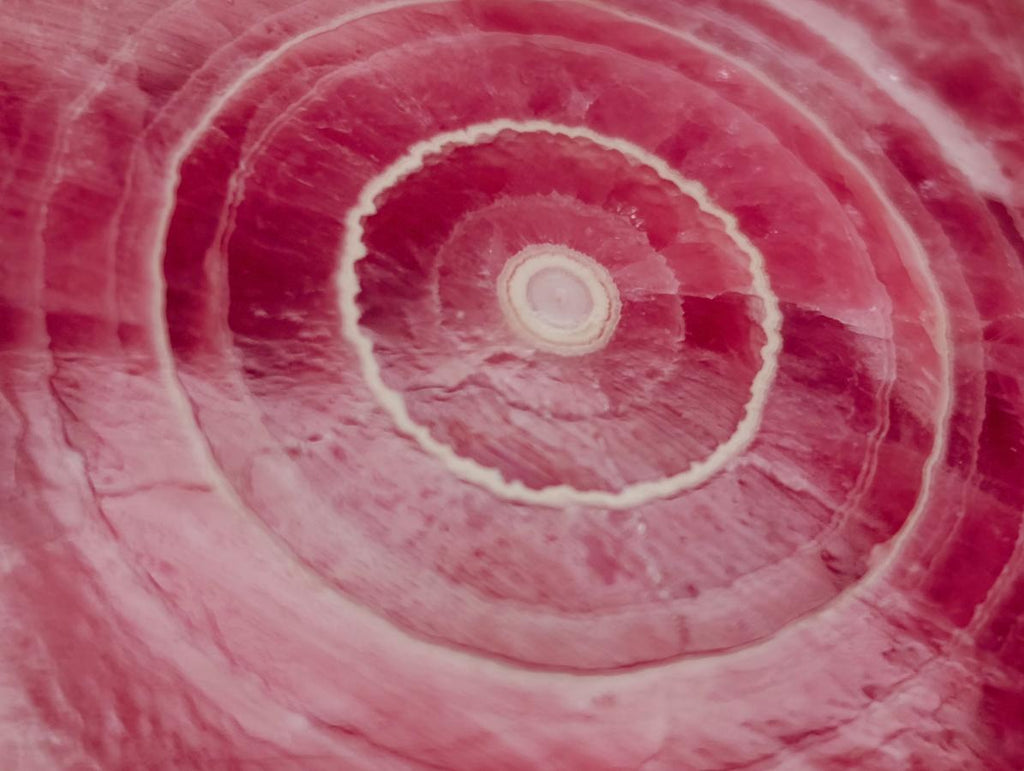 Polished Super Rare Large Argentinian Rhodochrosite Stalagmite Specimen x 1 From Capillitas Mine, Argentina