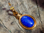 Polished Pair of Lapis Lazuli Earrings in Gold Setting x 1 From Afghanistan