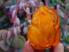 Hand Made Fossil Amber Sleeping Girl Curled in a Flower Carving on a Hardwood Base x 1 From Poland