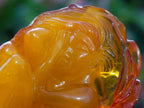Hand Made Fossil Amber Sleeping Girl Curled in a Flower Carving on a Hardwood Base x 1 From Poland