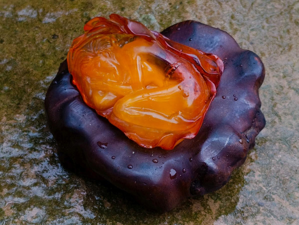Hand Made Fossil Amber Sleeping Girl Curled in a Flower Carving on a Hardwood Base x 1 From Poland