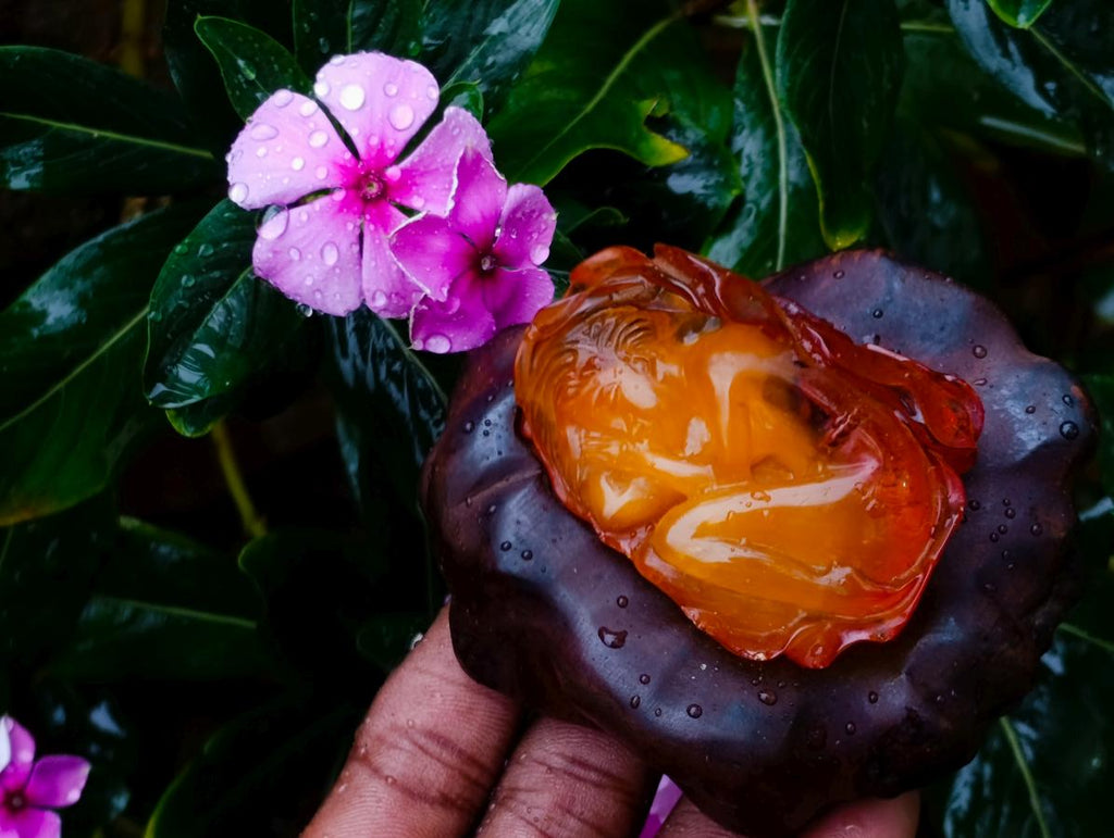 Hand Made Fossil Amber Sleeping Girl Curled in a Flower Carving on a Hardwood Base x 1 From Poland