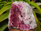 Natural Large Hot Pink Botryoidal Rhombohedral Spherocobaltite Specimen x 1 From Mashamba West Mine, Congo