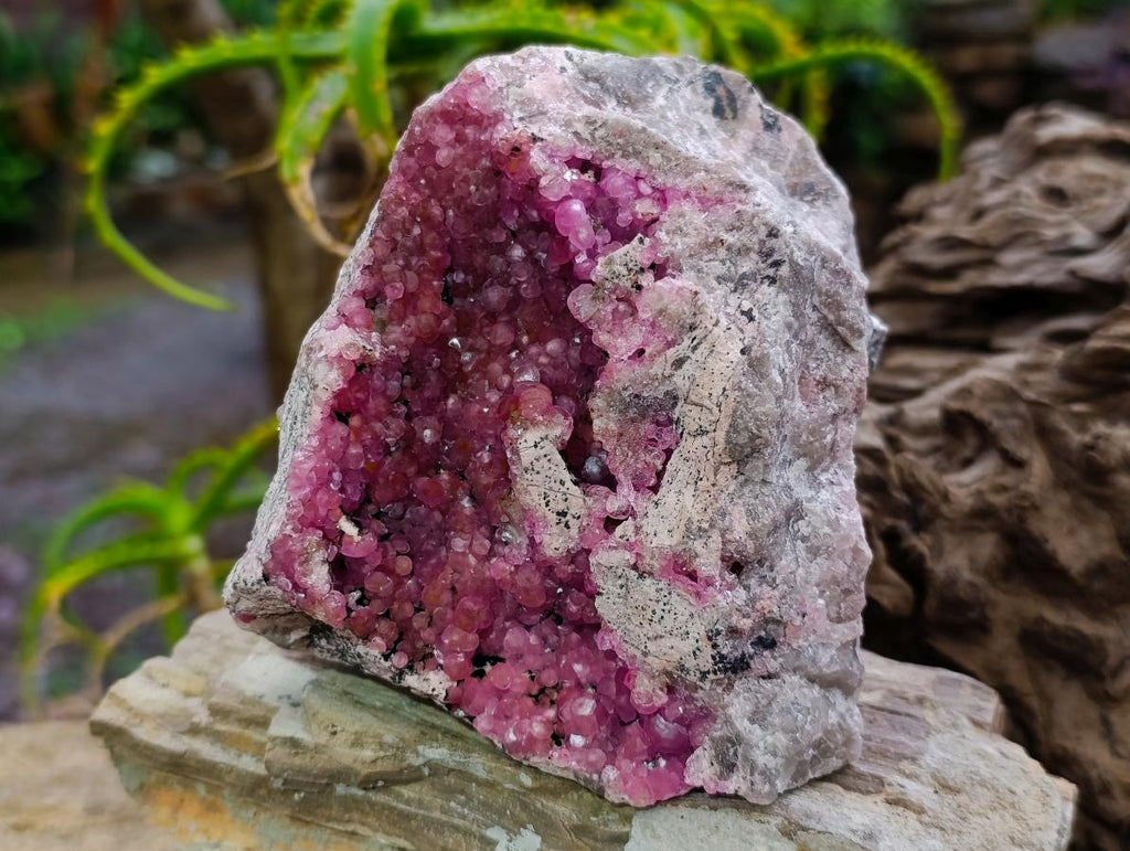 Natural Large Hot Pink Botryoidal Rhombohedral Spherocobaltite Specimen x 1 From Mashamba West Mine, Congo