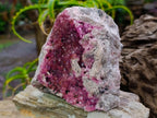 Natural Large Hot Pink Botryoidal Rhombohedral Spherocobaltite Specimen x 1 From Mashamba West Mine, Congo