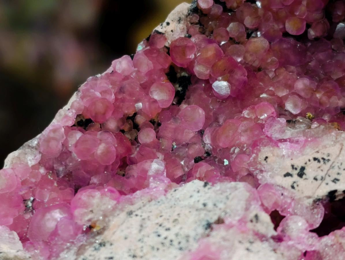 Natural Large Hot Pink Botryoidal Rhombohedral Spherocobaltite Specimen x 1 From Mashamba West Mine, Congo