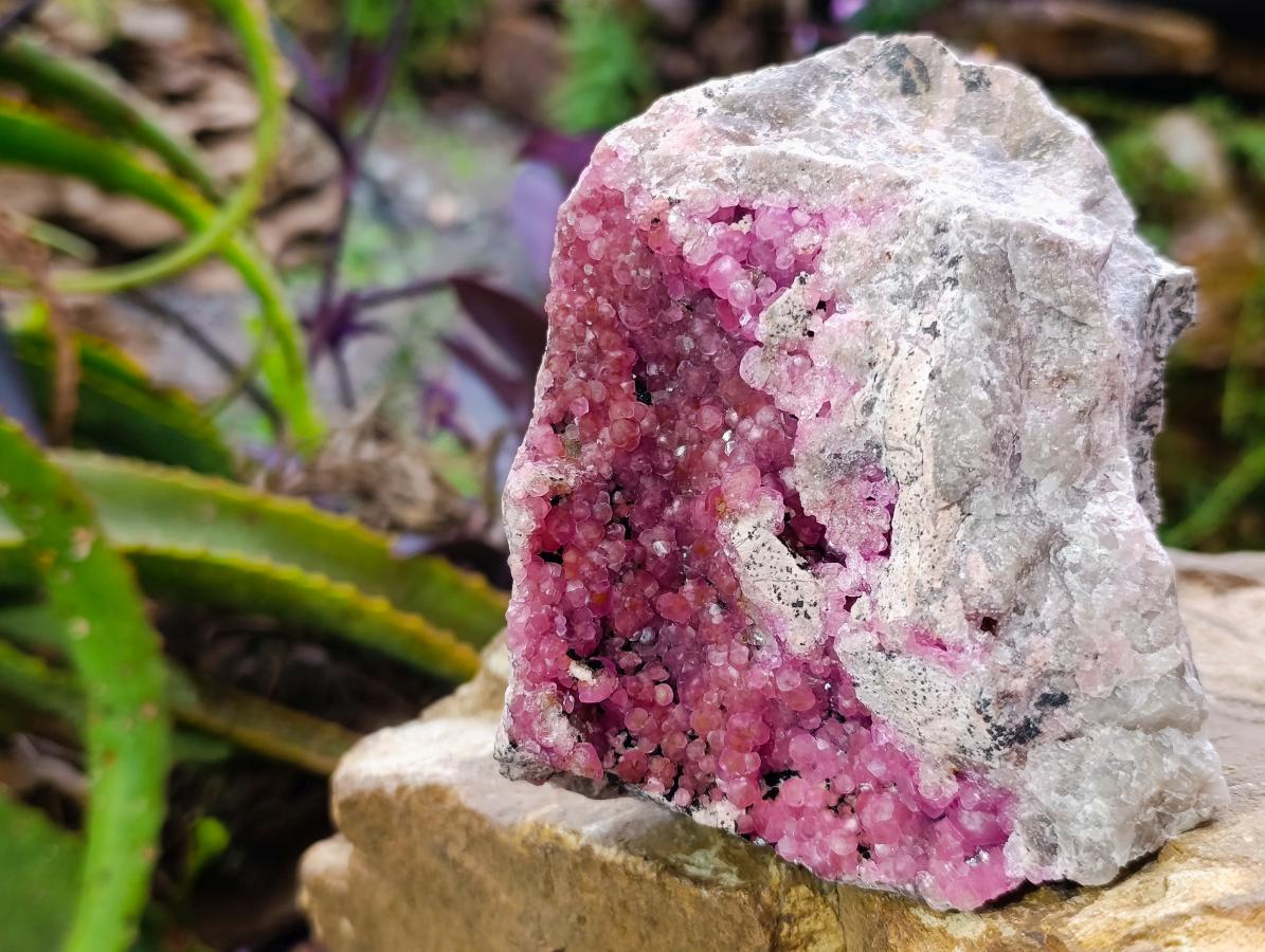 Natural Large Hot Pink Botryoidal Rhombohedral Spherocobaltite Specimen x 1 From Mashamba West Mine, Congo