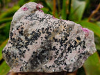 Natural Large Hot Pink Botryoidal Rhombohedral Spherocobaltite Specimen x 1 From Mashamba West Mine, Congo