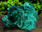 Natural Large Silky Rosette Malachite Classic Specimen x 1 From Kambove Copper Mine, Congo