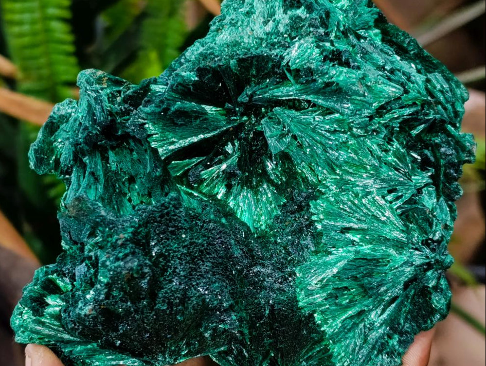 Natural Large Silky Rosette Malachite Classic Specimen x 1 From Kambove Copper Mine, Congo