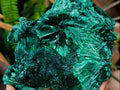 Natural Large Silky Rosette Malachite Classic Specimen x 1 From Kambove Copper Mine, Congo