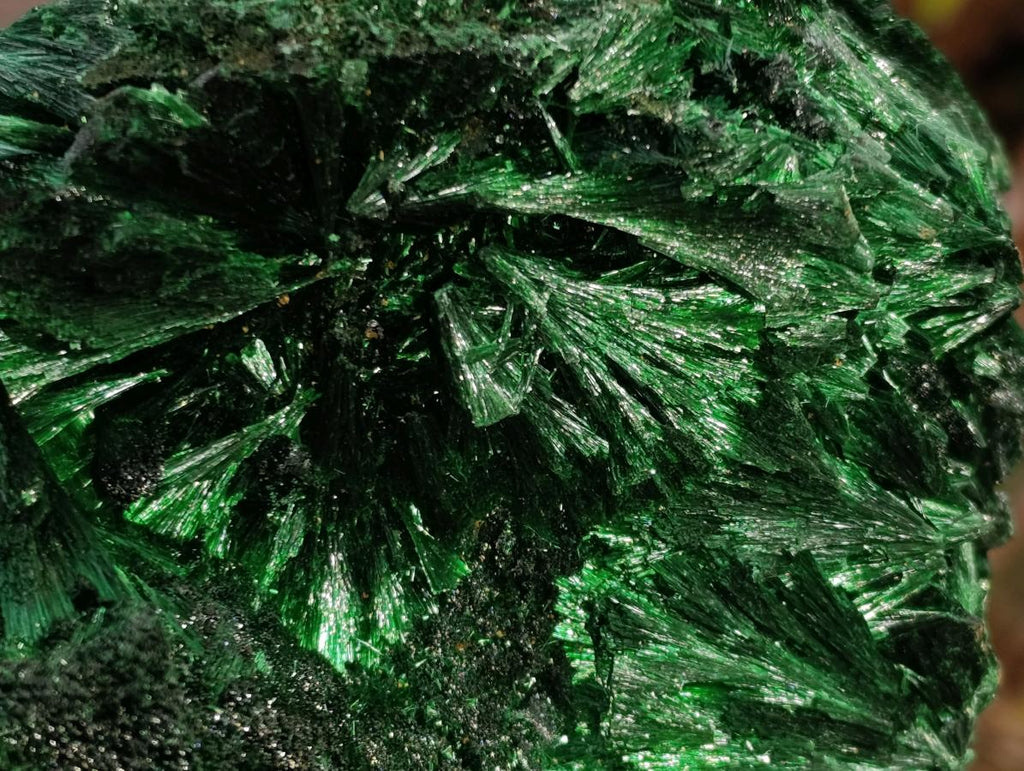 Natural Large Silky Rosette Malachite Classic Specimen x 1 From Kambove Copper Mine, Congo