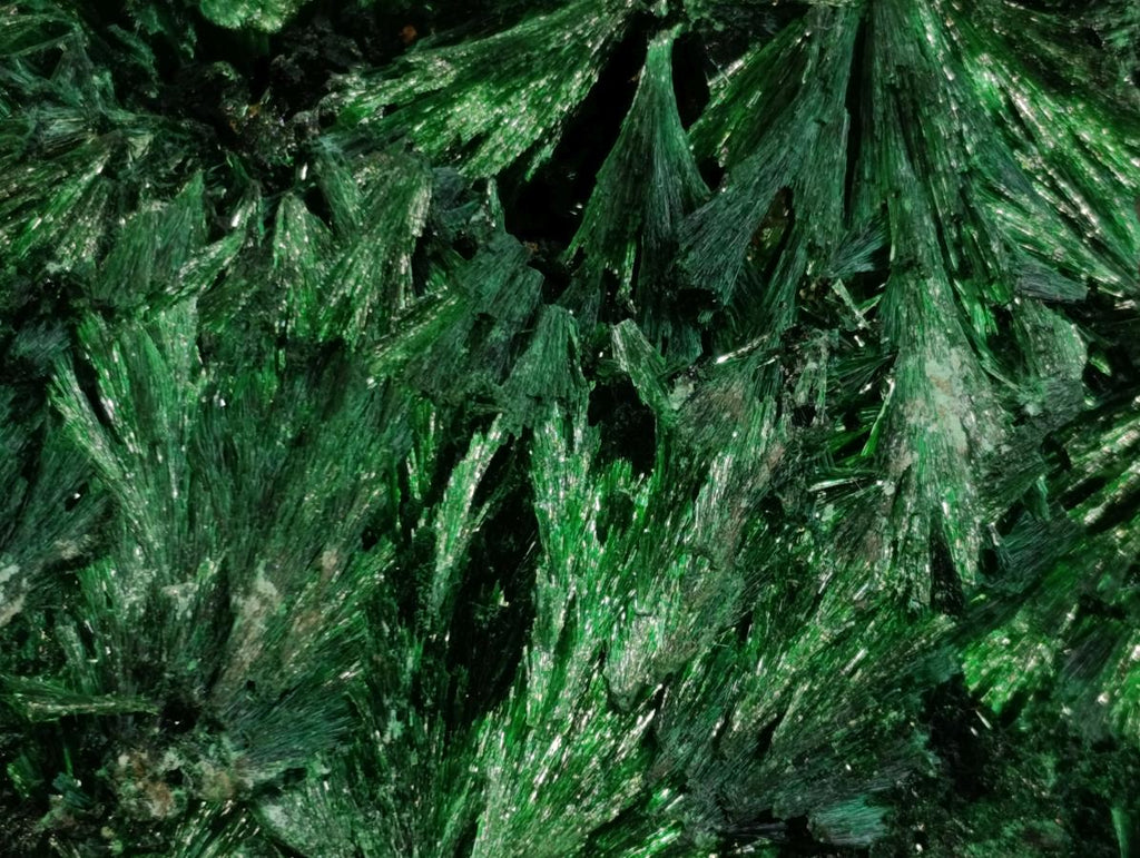 Natural Large Silky Rosette Malachite Classic Specimen x 1 From Kambove Copper Mine, Congo
