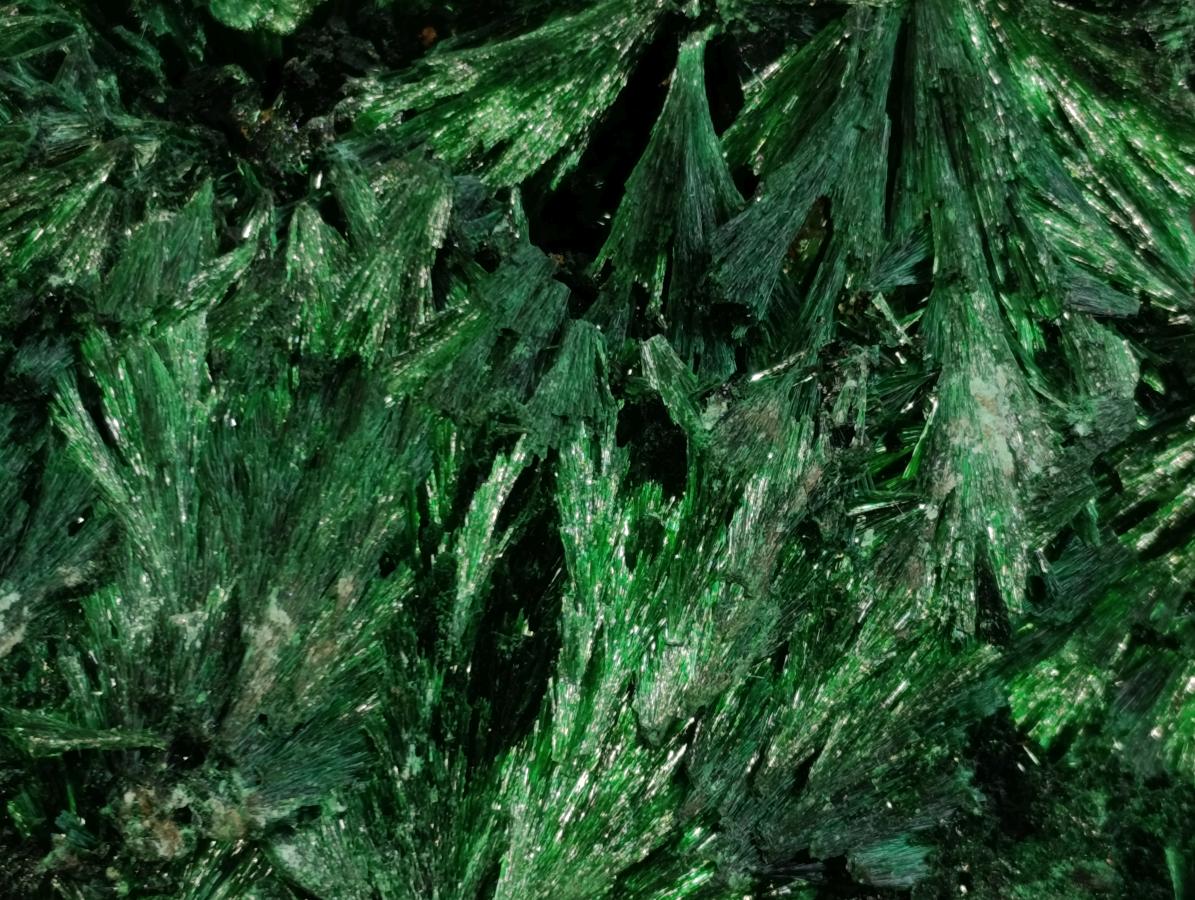 Natural Large Silky Rosette Malachite Classic Specimen x 1 From Kambove Copper Mine, Congo