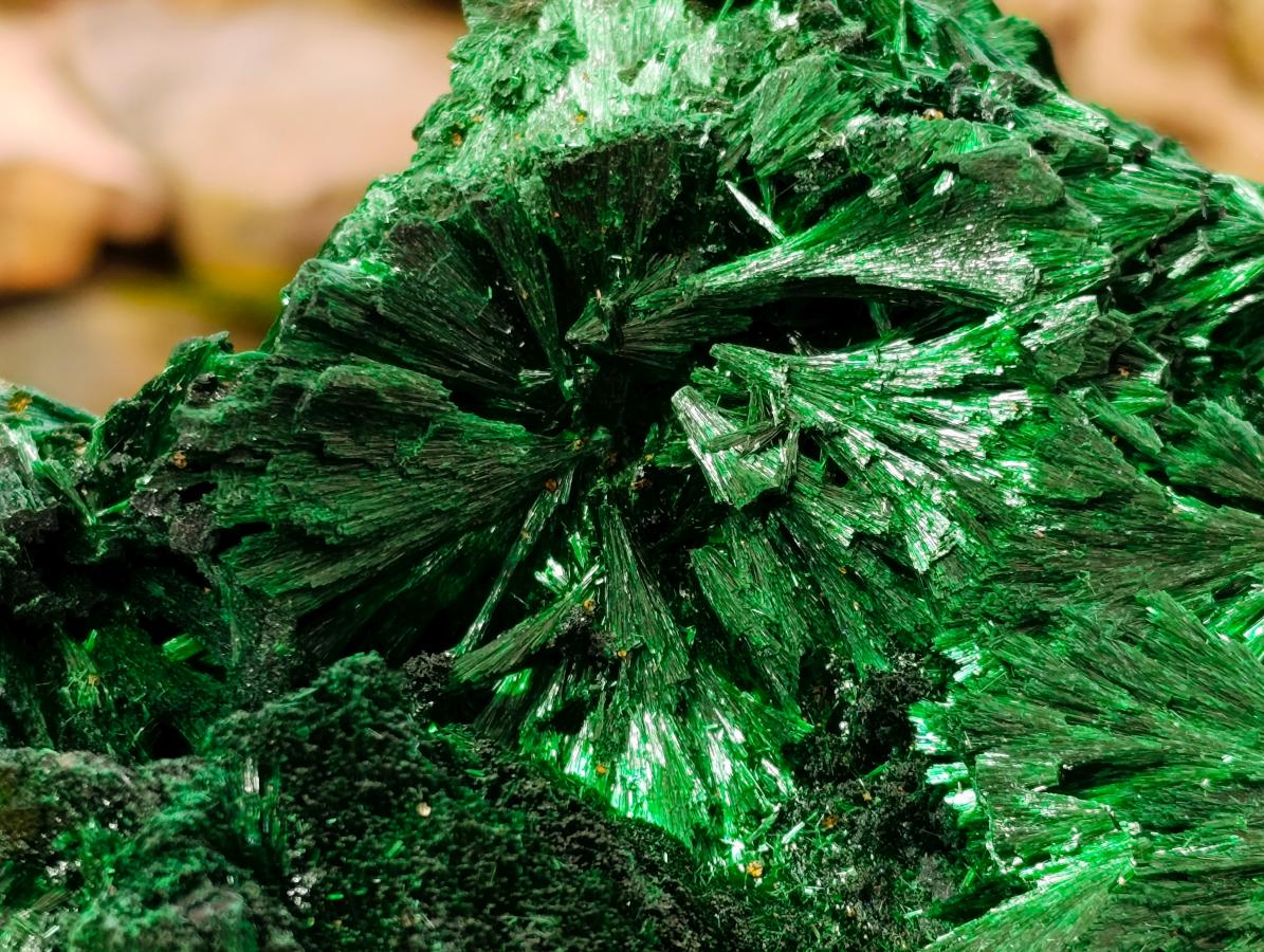 Natural Large Silky Rosette Malachite Classic Specimen x 1 From Kambove Copper Mine, Congo