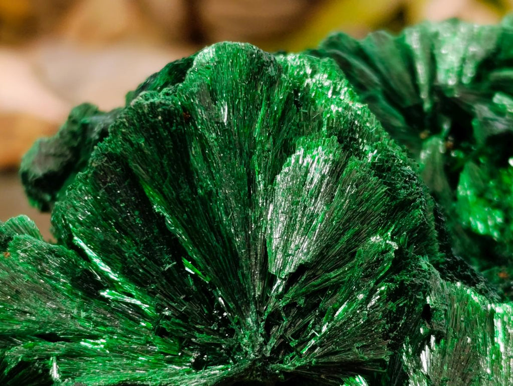 Natural Large Silky Rosette Malachite Classic Specimen x 1 From Kambove Copper Mine, Congo