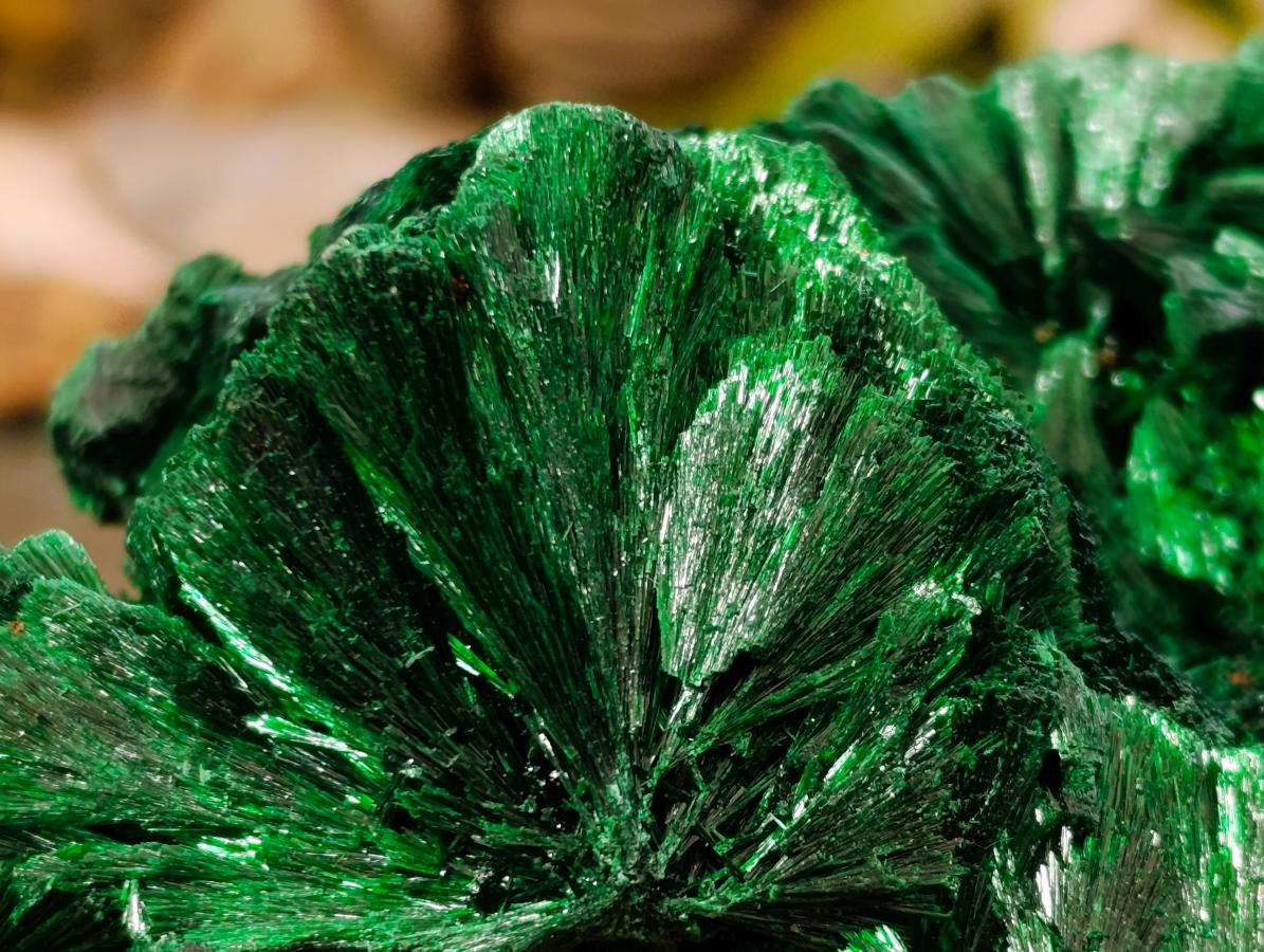 Natural Large Silky Rosette Malachite Classic Specimen x 1 From Kambove Copper Mine, Congo