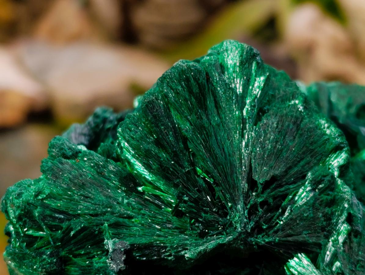 Natural Large Silky Rosette Malachite Classic Specimen x 1 From Kambove Copper Mine, Congo