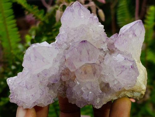 Natural Classic Sunburst Spirit Amethyst Crystal Cluster x 1 From Boekenhouthoek, South Africa