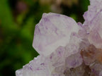 Natural Classic Sunburst Spirit Amethyst Crystal Cluster x 1 From Boekenhouthoek, South Africa