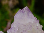 Natural Classic Sunburst Spirit Amethyst Crystal Cluster x 1 From Boekenhouthoek, South Africa