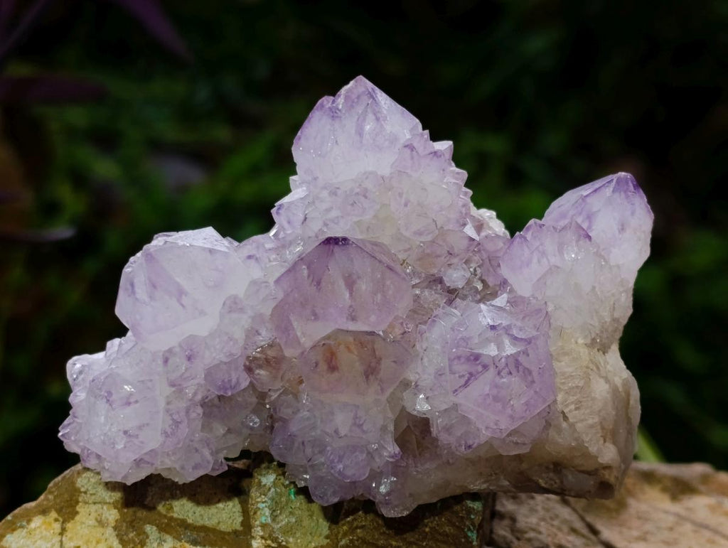 Natural Classic Sunburst Spirit Amethyst Crystal Cluster x 1 From Boekenhouthoek, South Africa