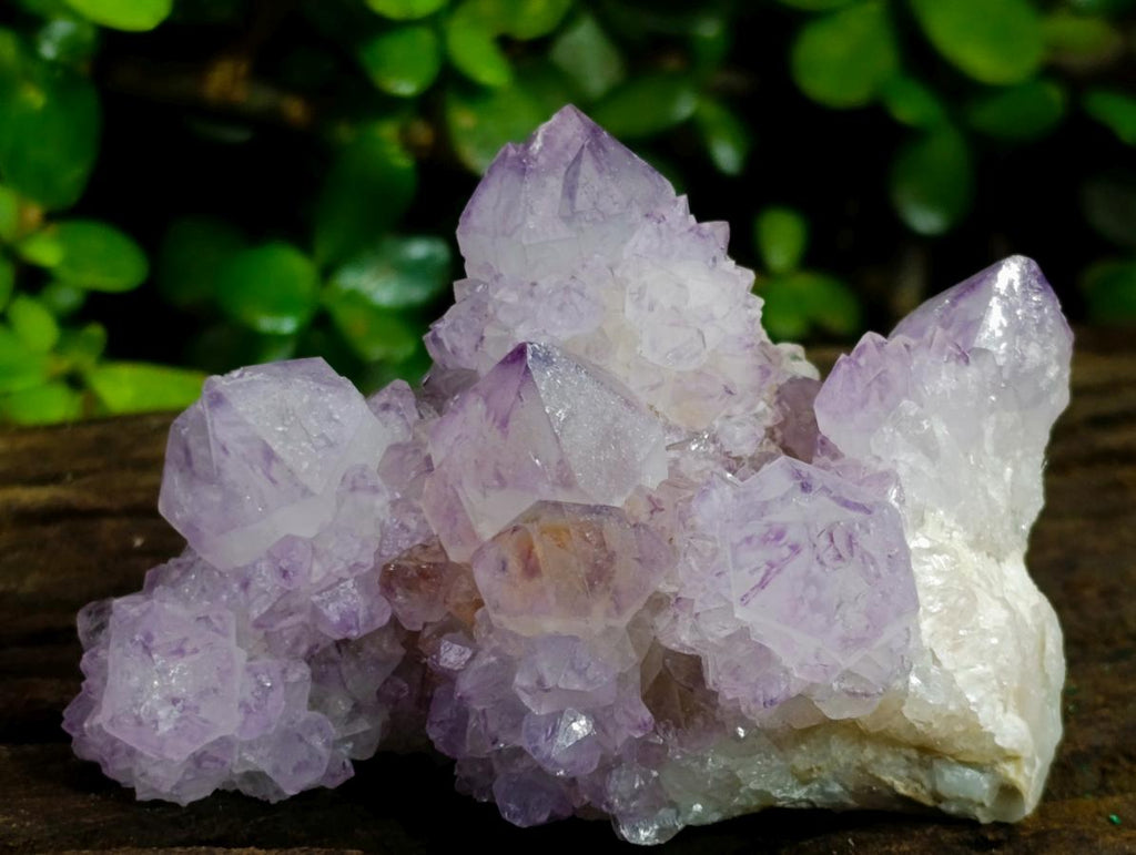 Natural Classic Sunburst Spirit Amethyst Crystal Cluster x 1 From Boekenhouthoek, South Africa