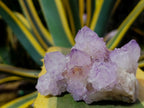 Natural Classic Sunburst Spirit Amethyst Crystal Cluster x 1 From Boekenhouthoek, South Africa