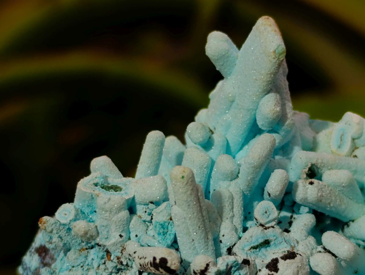 Natural Tabular Chrysocolla Pseudomorph after Azurite after Malachite Specimen x 1 From Lupoto Mine, Congo