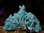 Natural Tabular Chrysocolla Pseudomorph after Azurite after Malachite Specimen x 1 From Lupoto Mine, Congo