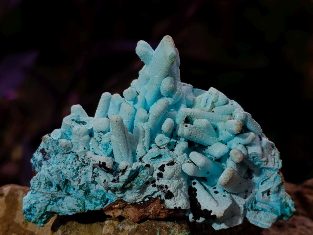 Natural Tabular Chrysocolla Pseudomorph after Azurite after Malachite Specimen x 1 From Lupoto Mine, Congo
