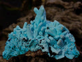 Natural Tabular Chrysocolla Pseudomorph after Azurite after Malachite Specimen x 1 From Lupoto Mine, Congo