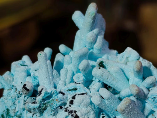 Natural Tabular Chrysocolla Pseudomorph after Azurite after Malachite Specimen x 1 From Lupoto Mine, Congo