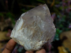 Natural Love Star Orange River Raised Termination Quartz Crystal x 1 From Riemvasmaak, South Africa