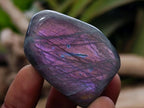 Polished and Natural Mixed Set of 20 African Minerals Crystals and Fossil in a Wooden Display Box x 1 From Southern Africa