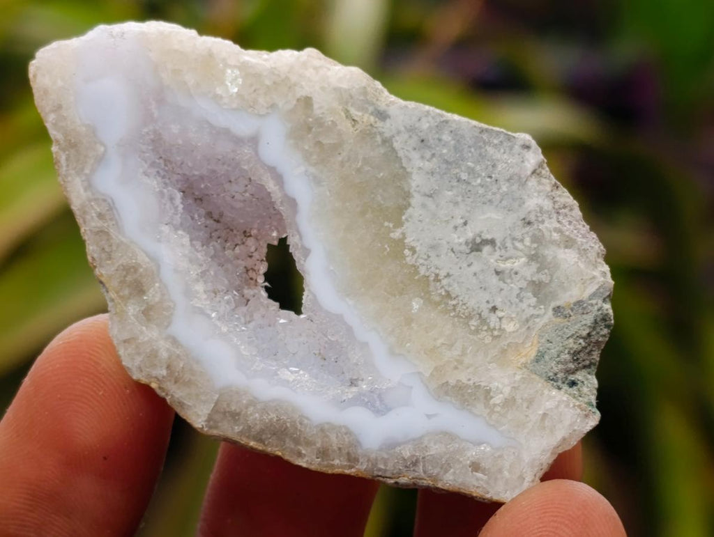 Polished and Natural Mixed Set of 20 African Minerals Crystals and Fossil in a Wooden Display Box x 1 From Southern Africa