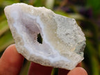 Polished and Natural Mixed Set of 20 African Minerals Crystals and Fossil in a Wooden Display Box x 1 From Southern Africa
