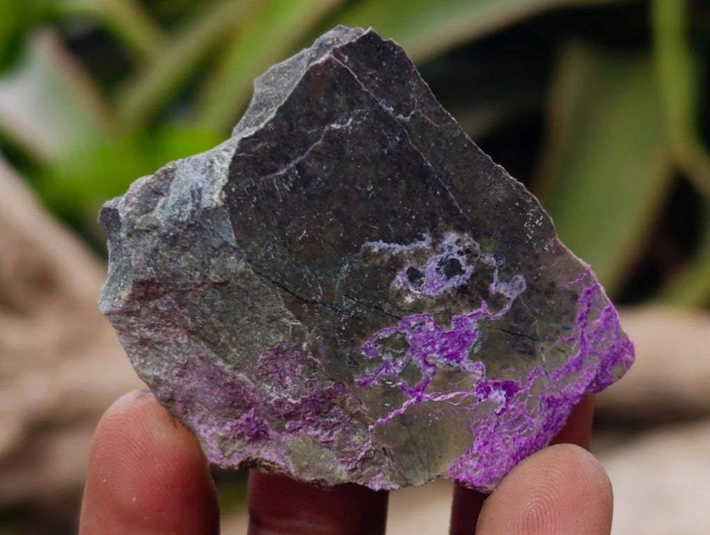 Polished and Natural Mixed Set of 20 African Minerals Crystals and Fossil in a Wooden Display Box x 1 From Southern Africa