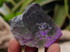 Polished and Natural Mixed Set of 20 African Minerals Crystals and Fossil in a Wooden Display Box x 1 From Southern Africa