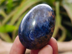 Polished and Natural Mixed Set of 20 African Minerals Crystals and Fossil in a Wooden Display Box x 1 From Southern Africa