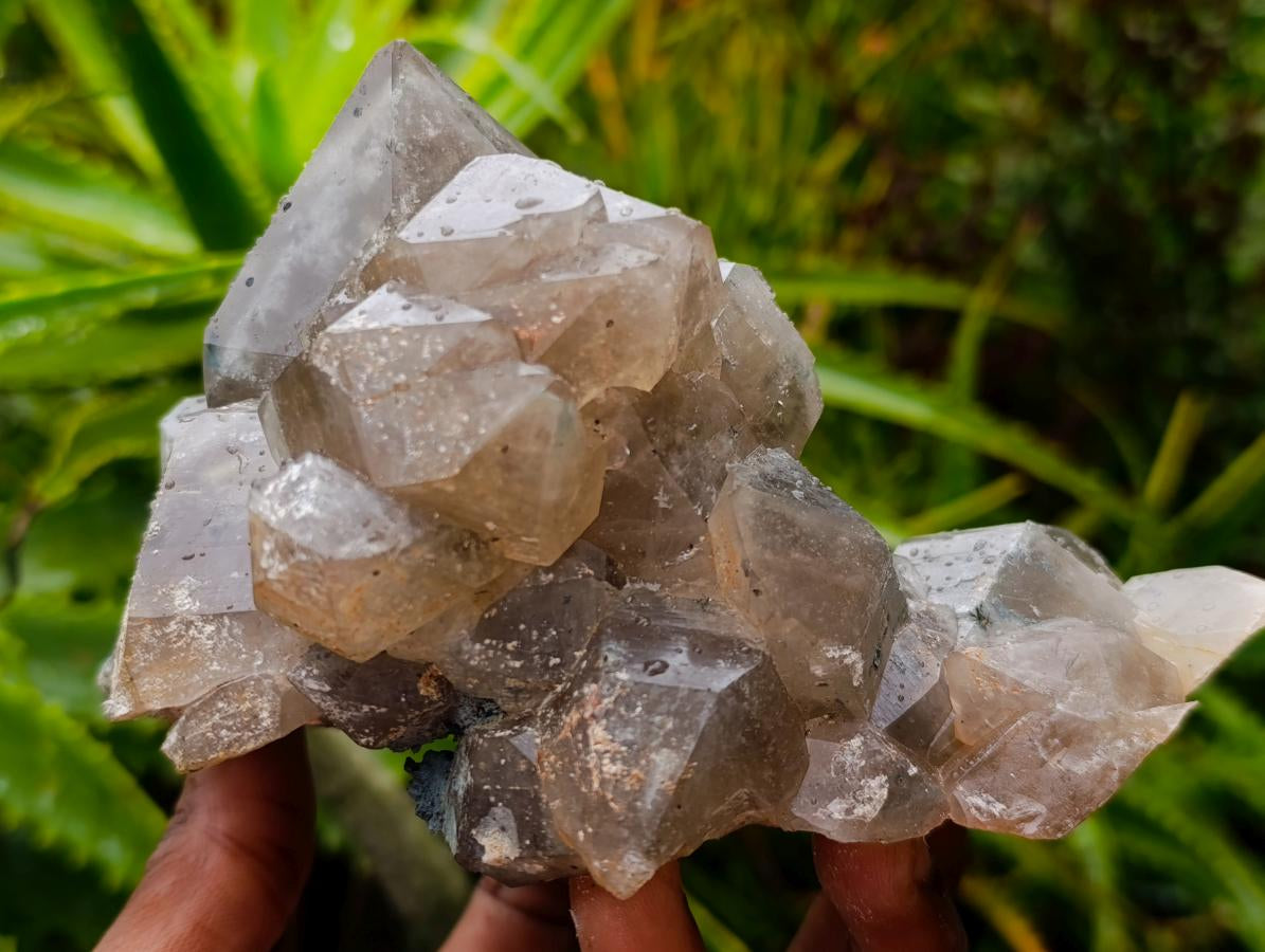 Natural Stacked Erongo Mountain Phantom Smokey Quartz Crystal Cluster with Fluorescent Hyalite x 1 From Erongo, Namibia