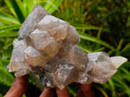 Natural Stacked Erongo Mountain Phantom Smokey Quartz Crystal Cluster with Fluorescent Hyalite x 1 From Erongo, Namibia