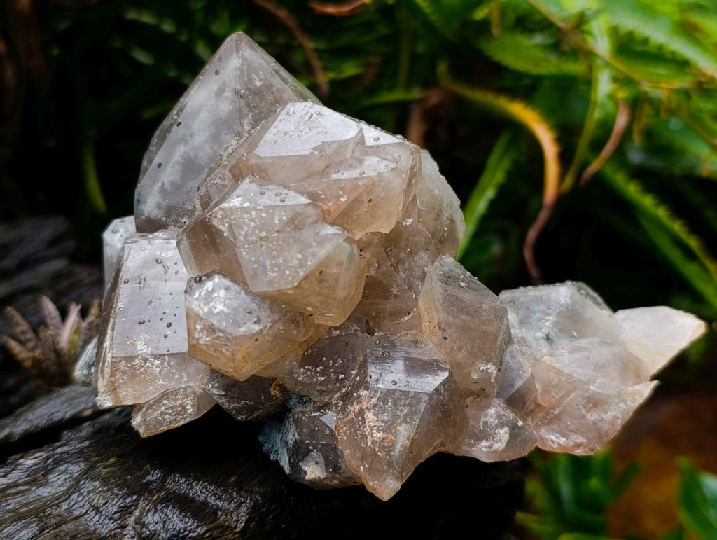 Natural Stacked Erongo Mountain Phantom Smokey Quartz Crystal Cluster with Fluorescent Hyalite x 1 From Erongo, Namibia