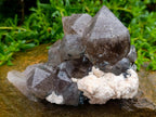 Natural Stacked Erongo Mountain Phantom Smokey Quartz Crystal Cluster with Fluorescent Hyalite x 1 From Erongo, Namibia