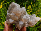 Natural Stacked Erongo Mountain Phantom Smokey Quartz Crystal Cluster with Fluorescent Hyalite x 1 From Erongo, Namibia