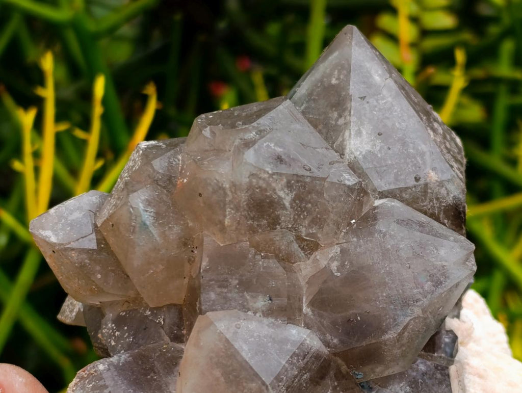 Natural Stacked Erongo Mountain Phantom Smokey Quartz Crystal Cluster with Fluorescent Hyalite x 1 From Erongo, Namibia